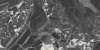 48007R_40х80_5