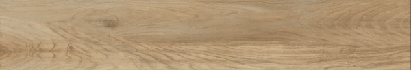 GRS13_03s_20x120_5