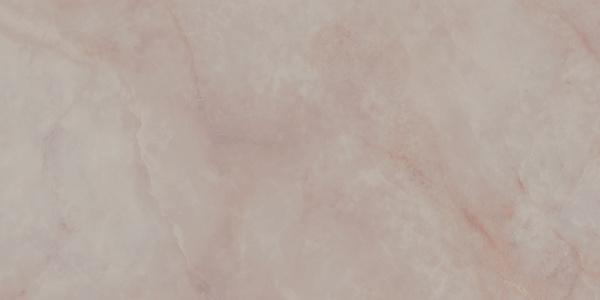 SG50006022R_60х119,5_13