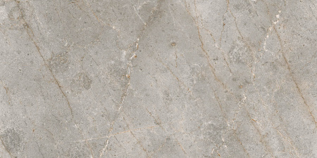 bardiglio_classic_60_120_4