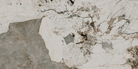 SG50005922R_60х119,5_8