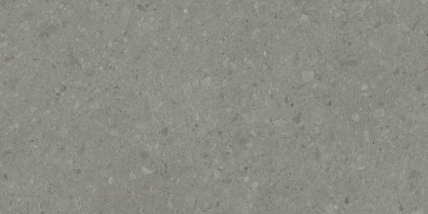 DD591500R_119,5х238,5_2_26