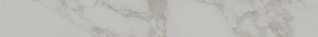 SG850192R_8BT_SG850190R_8BT_80х9,5_2_2