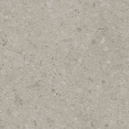 DD012500R_119,5х119,5_6_12