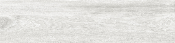 ID9065p101SR_4