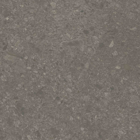 DD012900R_119,5х119,5_6