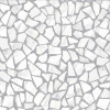 carnevale_60_60_1