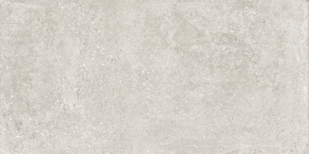 perla_light_grey_60_120_5