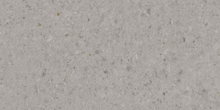 DD591400R_119,5х238,5_3_19