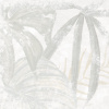 K_702_MR_1_600x600