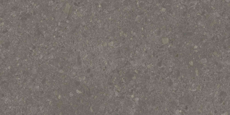 DD591700R_119,5х238,5_2_10