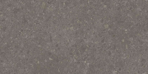DD591700R_119,5х238,5_2_10