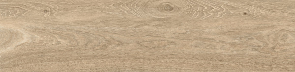 ID9065p052SR_5