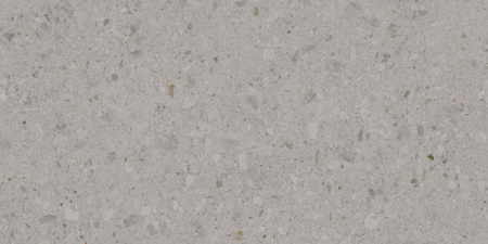 DD591400R_119,5х238,5_5_21