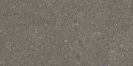 DD508120R_60х119,5_4_20