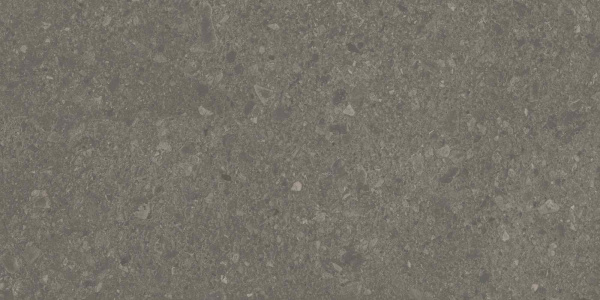 DD508120R_60х119,5_4_20