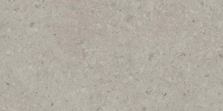 DD591300R_119,5х238,5_7_15