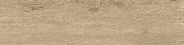ID9065p052SR_4